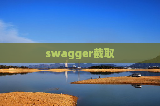 swagger截取